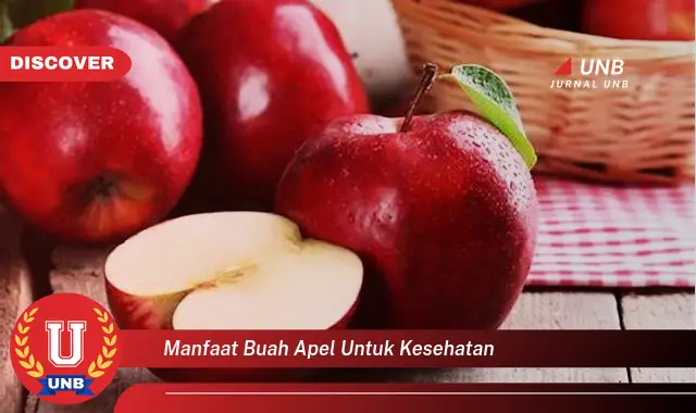 manfaat buah apel untuk kesehatan