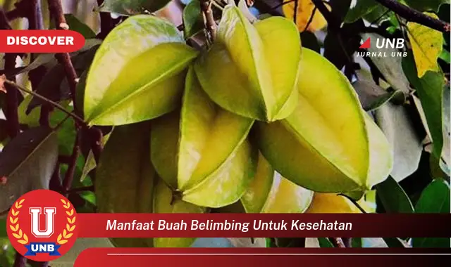 manfaat buah belimbing untuk kesehatan