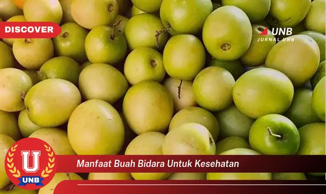 manfaat buah bidara untuk kesehatan