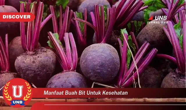 manfaat buah bit untuk kesehatan