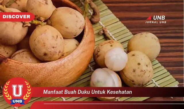 manfaat buah duku untuk kesehatan