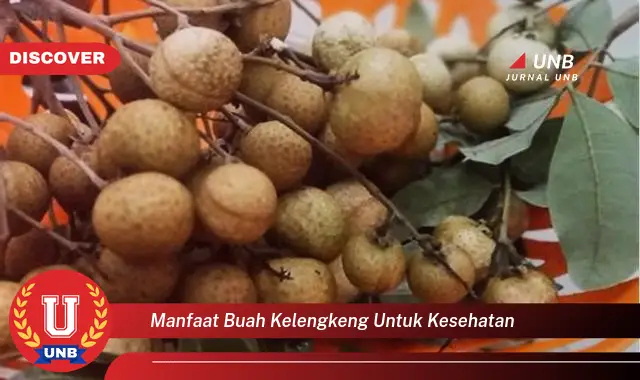 manfaat buah kelengkeng untuk kesehatan