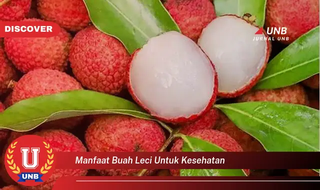 manfaat buah leci untuk kesehatan