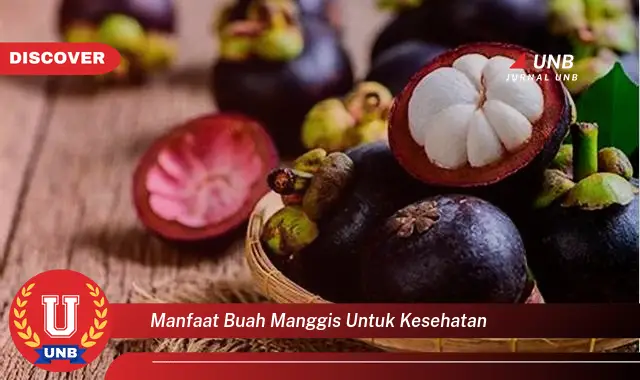 manfaat buah manggis untuk kesehatan
