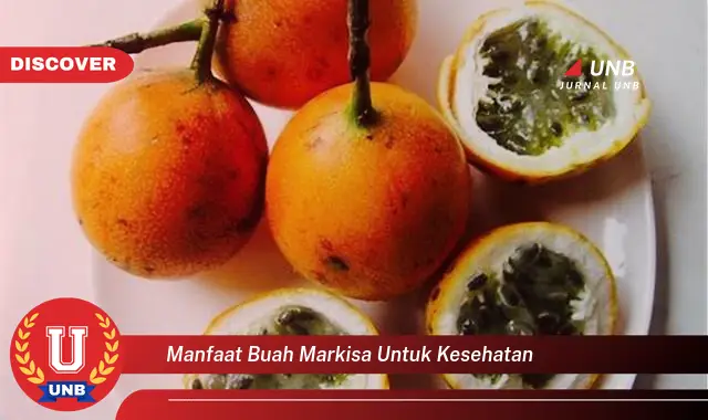 manfaat buah markisa untuk kesehatan manfaat buah markisa untuk kesehatan