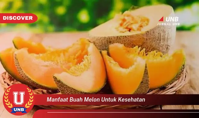 manfaat buah melon untuk kesehatan manfaat buah melon untuk kesehatan
