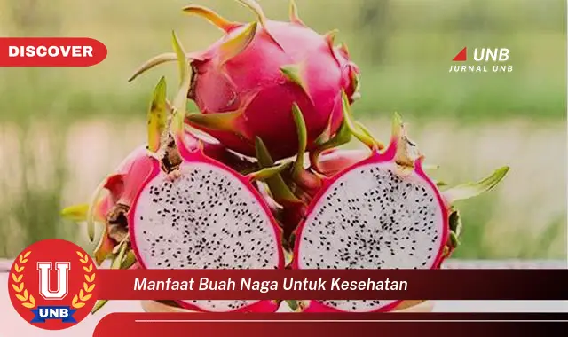 manfaat buah naga untuk kesehatan