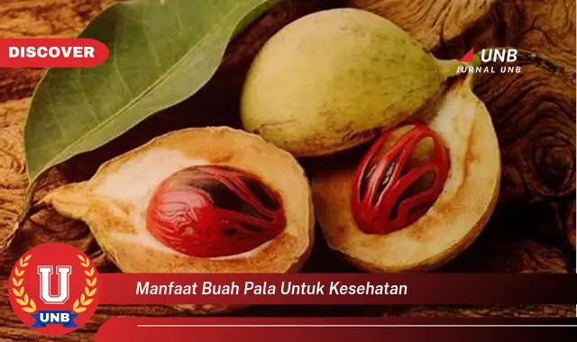 manfaat buah pala untuk kesehatan