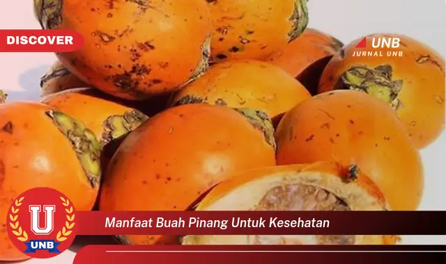 manfaat buah pinang untuk kesehatan