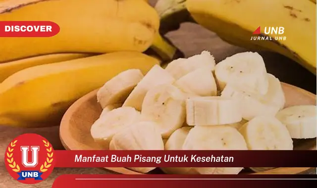 manfaat buah pisang untuk kesehatan manfaat buah pisang untuk kesehatan