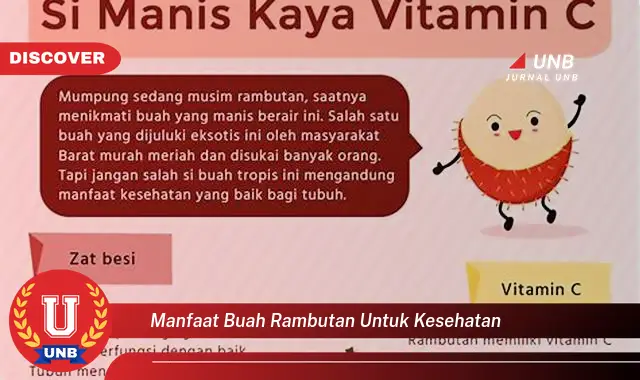 manfaat buah rambutan untuk kesehatan manfaat buah rambutan untuk kesehatan
