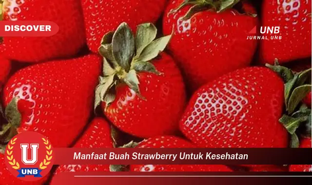 Intip 6 Manfaat Buah Strawberry Untuk Kesehatan Yang Jarang Diketahui