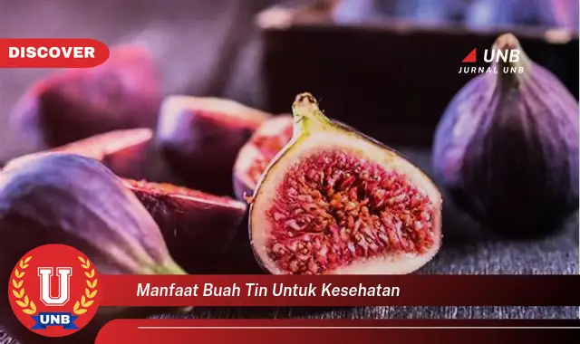 manfaat buah tin untuk kesehatan