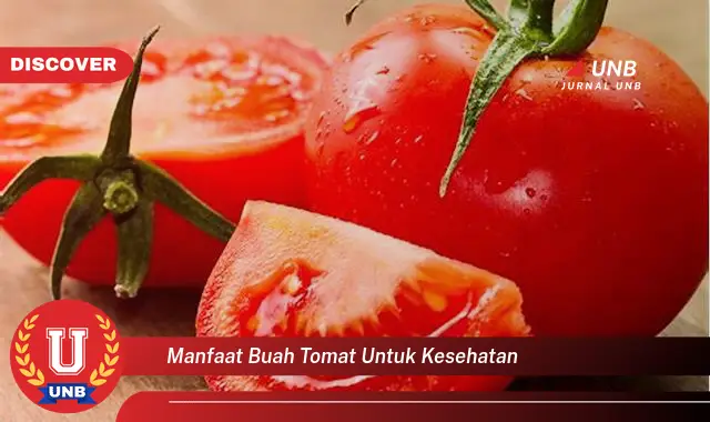 manfaat buah tomat untuk kesehatan