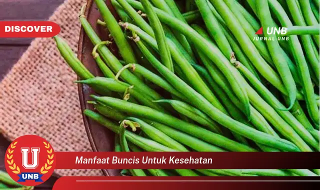 manfaat buncis untuk kesehatan manfaat buncis untuk kesehatan