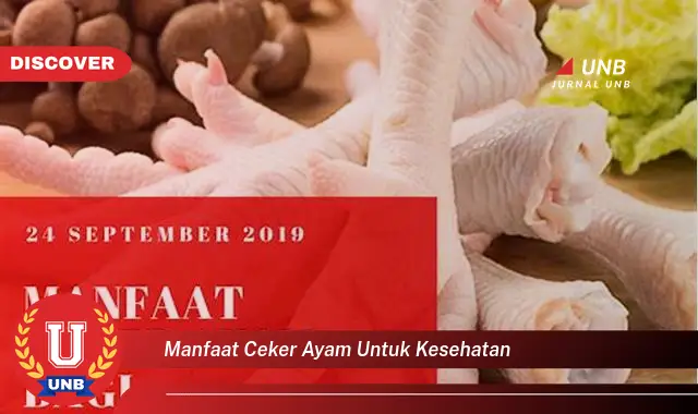 manfaat ceker ayam untuk kesehatan