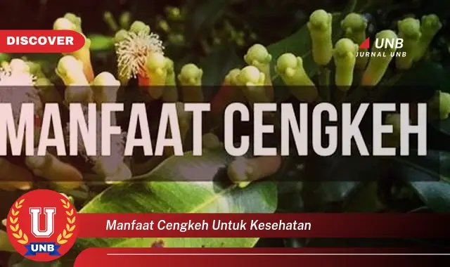 manfaat cengkeh untuk kesehatan