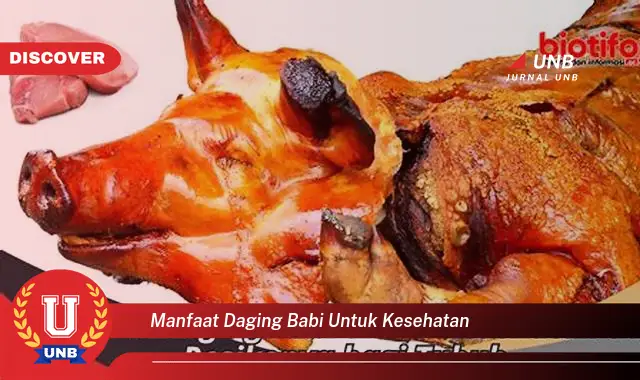 manfaat daging babi untuk kesehatan manfaat daging babi untuk kesehatan