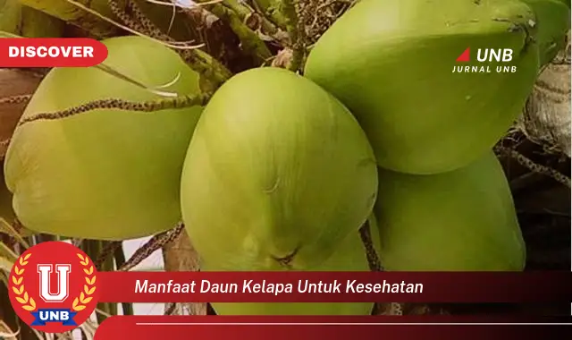 manfaat daun kelapa untuk kesehatan