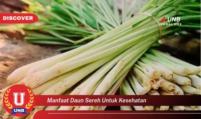 manfaat daun sereh untuk kesehatan