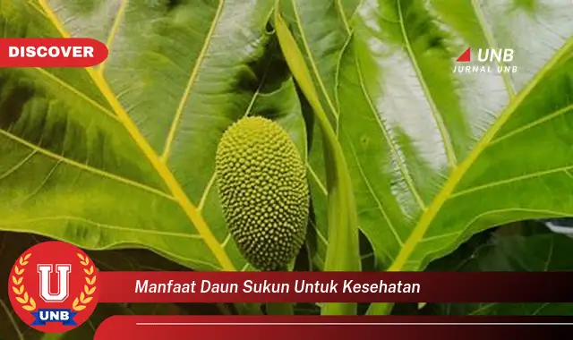 manfaat daun sukun untuk kesehatan
