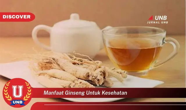 manfaat ginseng untuk kesehatan