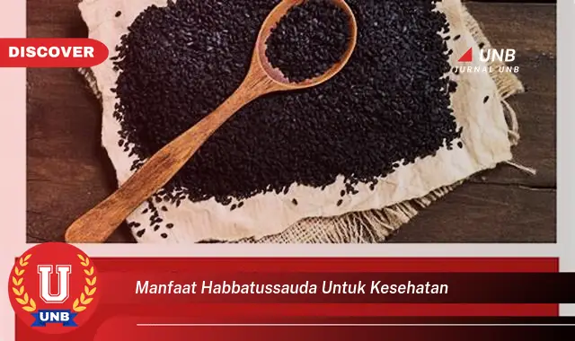 manfaat habbatussauda untuk kesehatan manfaat habbatussauda untuk kesehatan