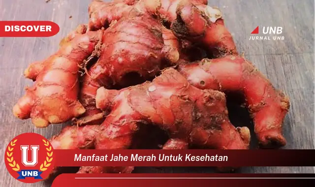 manfaat jahe merah untuk kesehatan