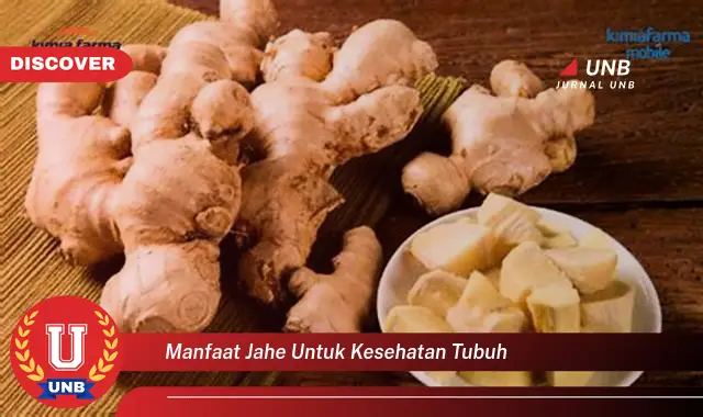 manfaat jahe untuk kesehatan tubuh