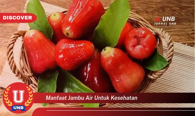 manfaat jambu air untuk kesehatan