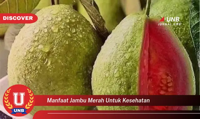 manfaat jambu merah untuk kesehatan