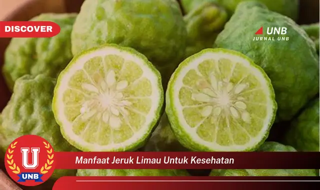 manfaat jeruk limau untuk kesehatan