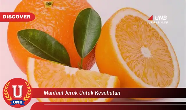 manfaat jeruk untuk kesehatan