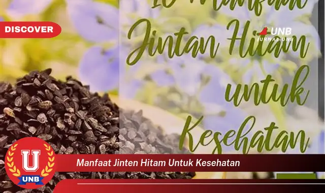 manfaat jinten hitam untuk kesehatan manfaat jinten hitam untuk kesehatan