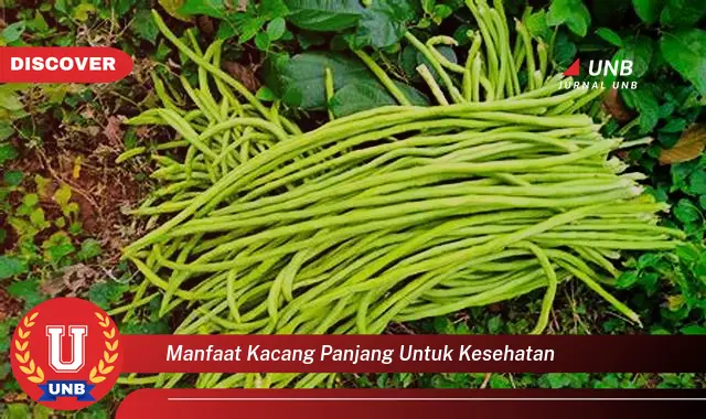 manfaat kacang panjang untuk kesehatan