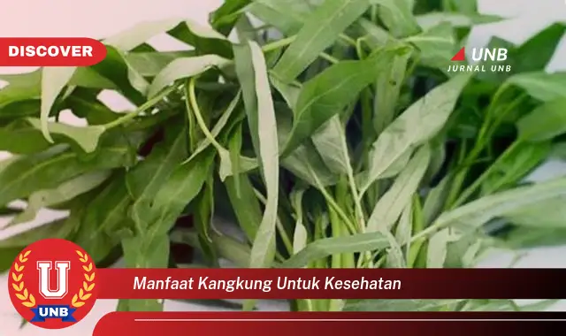 manfaat kangkung untuk kesehatan