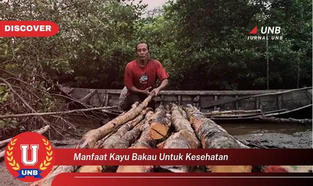 manfaat kayu bakau untuk kesehatan