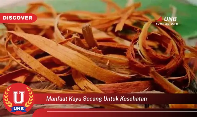 manfaat kayu secang untuk kesehatan manfaat kayu secang untuk kesehatan
