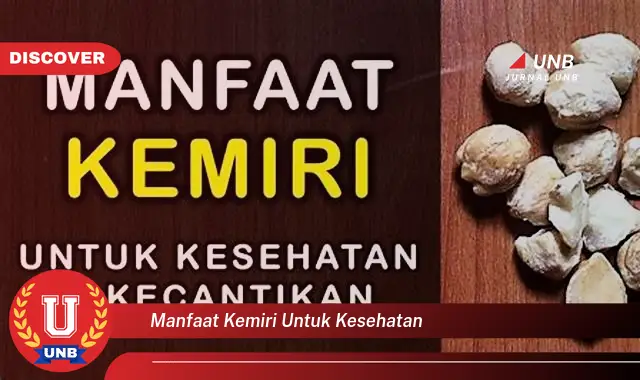 manfaat kemiri untuk kesehatan