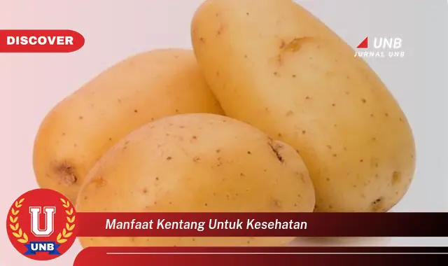 manfaat kentang untuk kesehatan