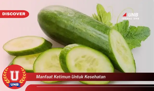 manfaat ketimun untuk kesehatan