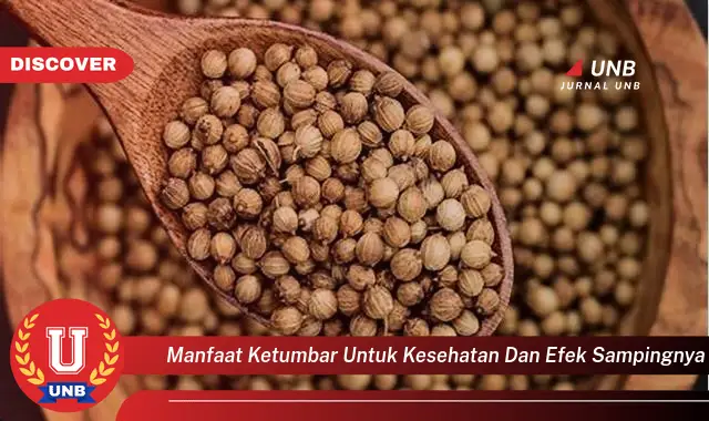 manfaat ketumbar untuk kesehatan dan efek sampingnya manfaat ketumbar untuk kesehatan dan efek sampingnya
