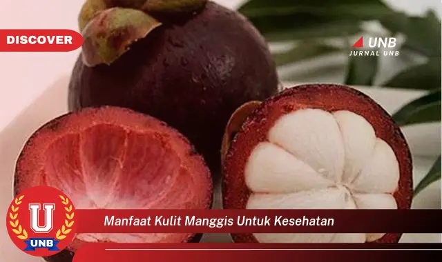 Temukan 6 Manfaat Kulit Manggis untuk Kesehatan yang Bikin Kamu Penasaran