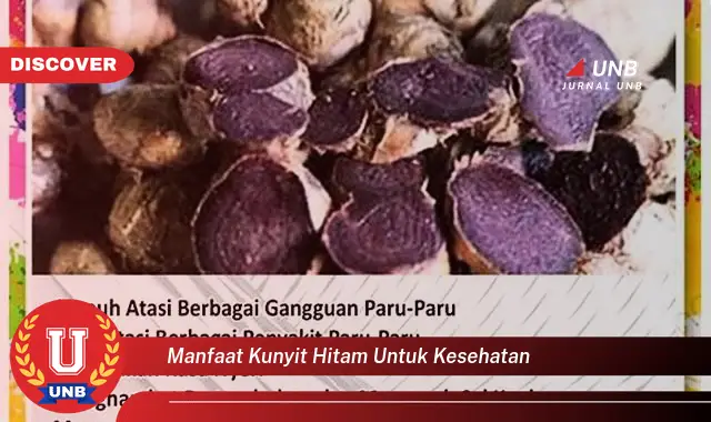 manfaat kunyit hitam untuk kesehatan