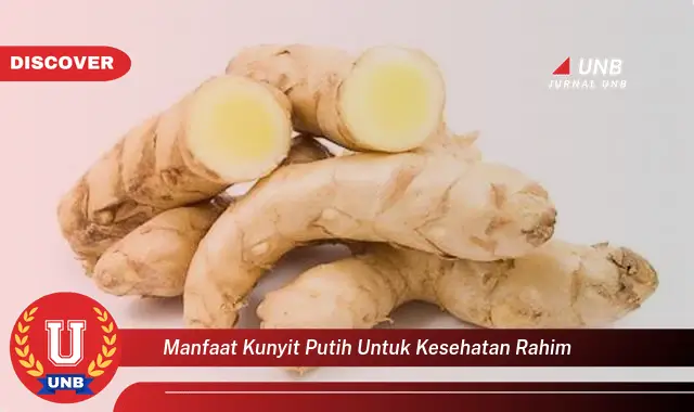 manfaat kunyit putih untuk kesehatan rahim