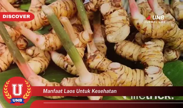 Intip 6 Manfaat Laos untuk Kesehatan yang Wajib Kamu Intip