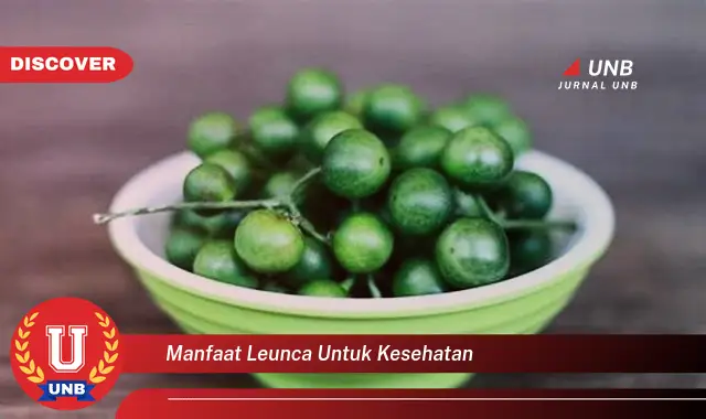 manfaat leunca untuk kesehatan