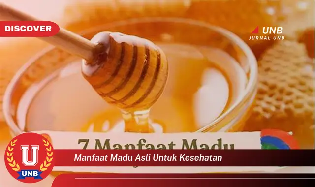 manfaat madu asli untuk kesehatan