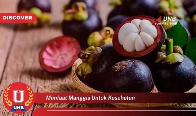 manfaat manggis untuk kesehatan