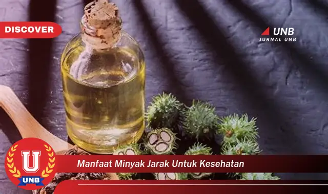 manfaat minyak jarak untuk kesehatan manfaat minyak jarak untuk kesehatan